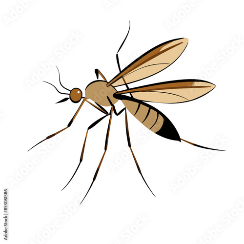 Detailed illustration of a mosquito with long legs and proboscis