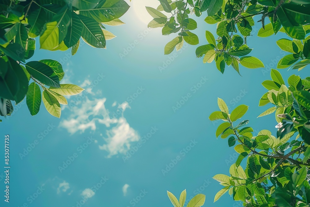Obraz premium Green leaves against a blue sky with sunlight