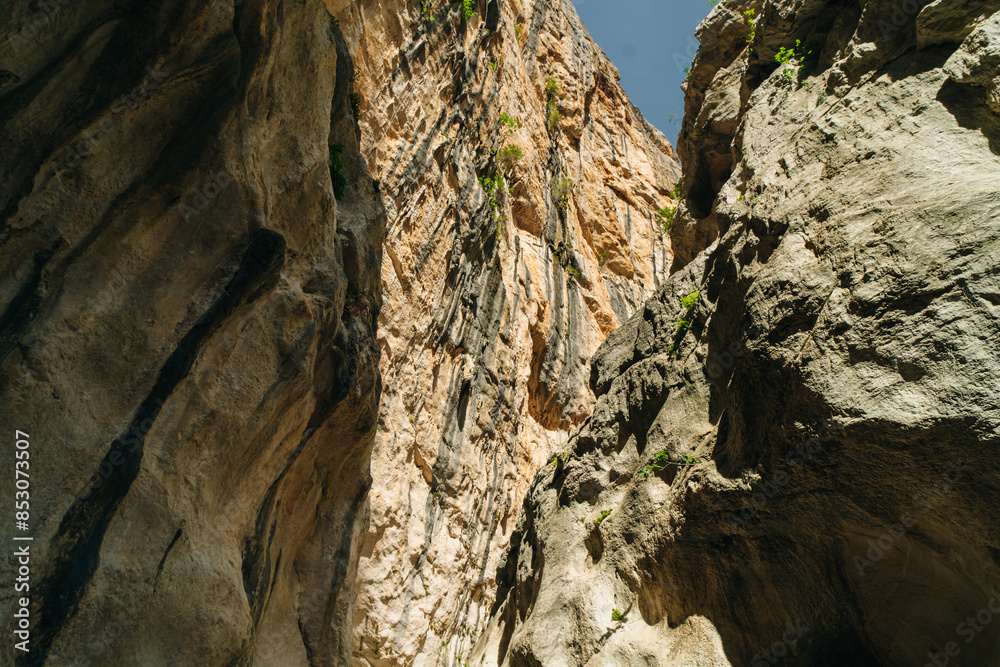 Gola di Gorropu gorge in Sardinia - The Gennargentu National Park, Province of Nuoro Gola di Gorropu gorge in Sardinia - The Gennargentu National Park, Province of Nuoro