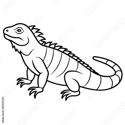 illustration of cartoon lizard © Radha Rani