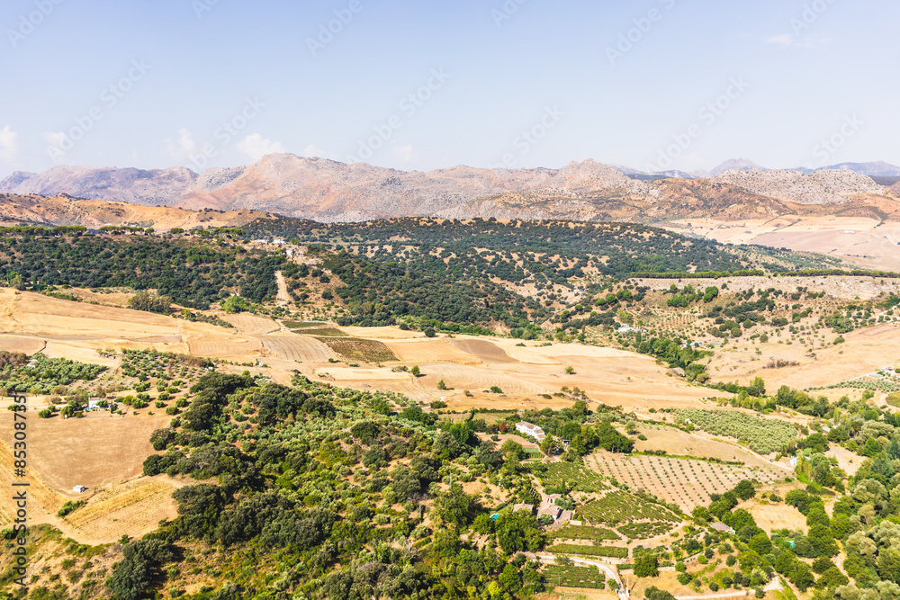 Obraz premium Mediterranean landscape in summer 
