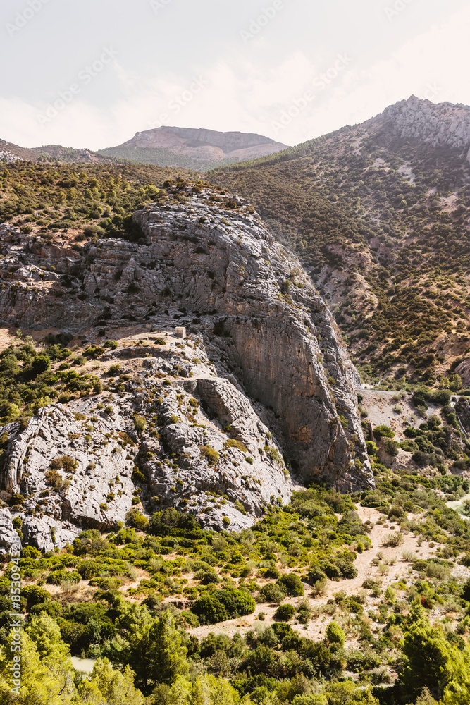 Obraz premium canyon in the mountains