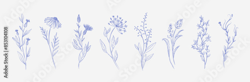 Set of luxury flowers and trendy botanical elements. Hand drawn line leaves branches and blooming. Wedding elegant wildflowers for invitation save the date card. Vector trendy