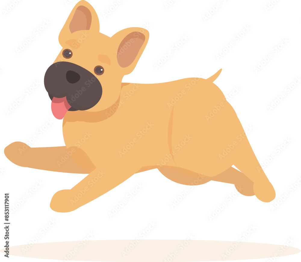 Happy french bulldog running with tongue out on white background Happy french bulldog running with tongue out on white background
