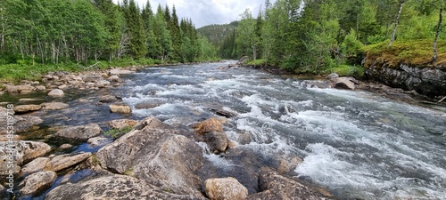Rapid flowing mountain river through forest in summer