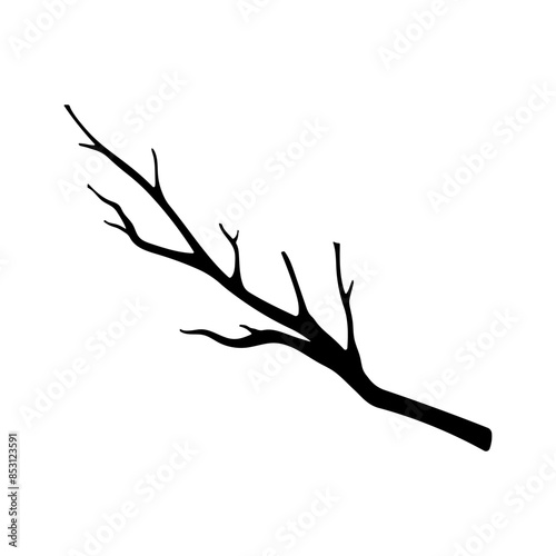 Branch icon. Black silhouette. Side view. Vector simple flat graphic illustration. Isolated object on a white background. Isolate.