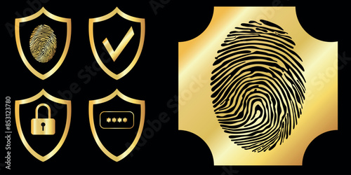 Set of security elements fingerprint, lock, secret password on shields, gold on black, flat, vector
