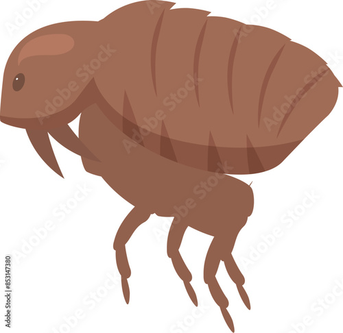 Flea is jumping, spreading disease, biting skin, and acting as a parasitic insect