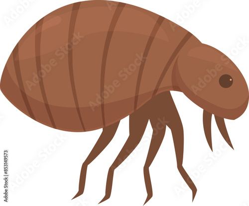 Flea is walking, potentially spreading diseases through its bite