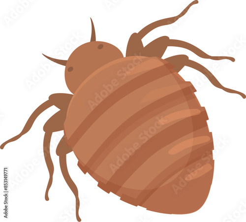 Bedbug is crawling, a parasitic insect known for spreading diseases