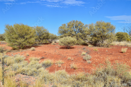 A view of the landscape in the Red Center of Australia. 