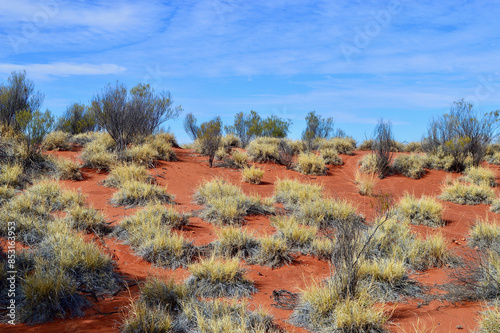 A view of the colors of the desert in the afternoon sunlight.