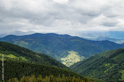 fields and meadows of Ukraine	