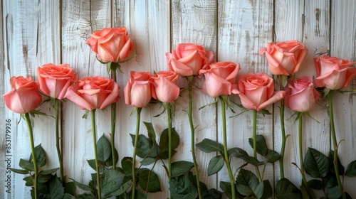 Pink Roses on White Wooden Surface