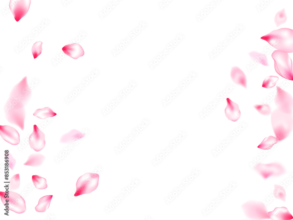 Spring blossom isolated petals flying Spring blossom isolated petals flying