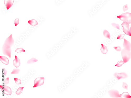 Spring blossom isolated petals flying