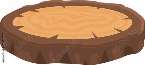 Large tree stump is showing its growth rings from being cut down