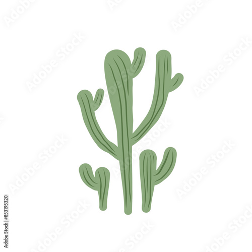 Mexican cactus isolation on white background. Exotic desert plant Vector flat illustration