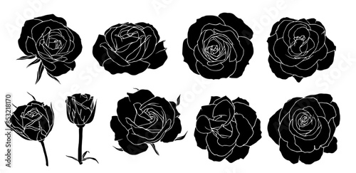 Collection of silhouettes, stamps of flowers and rose buds. Vector graphics.