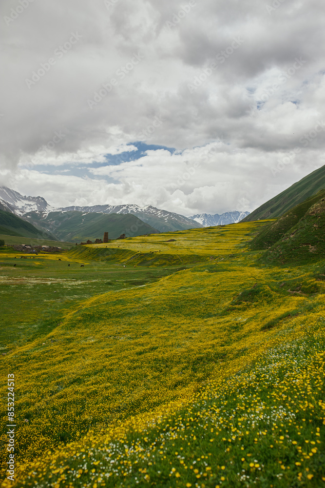 Obraz premium Mountains of Georgia 