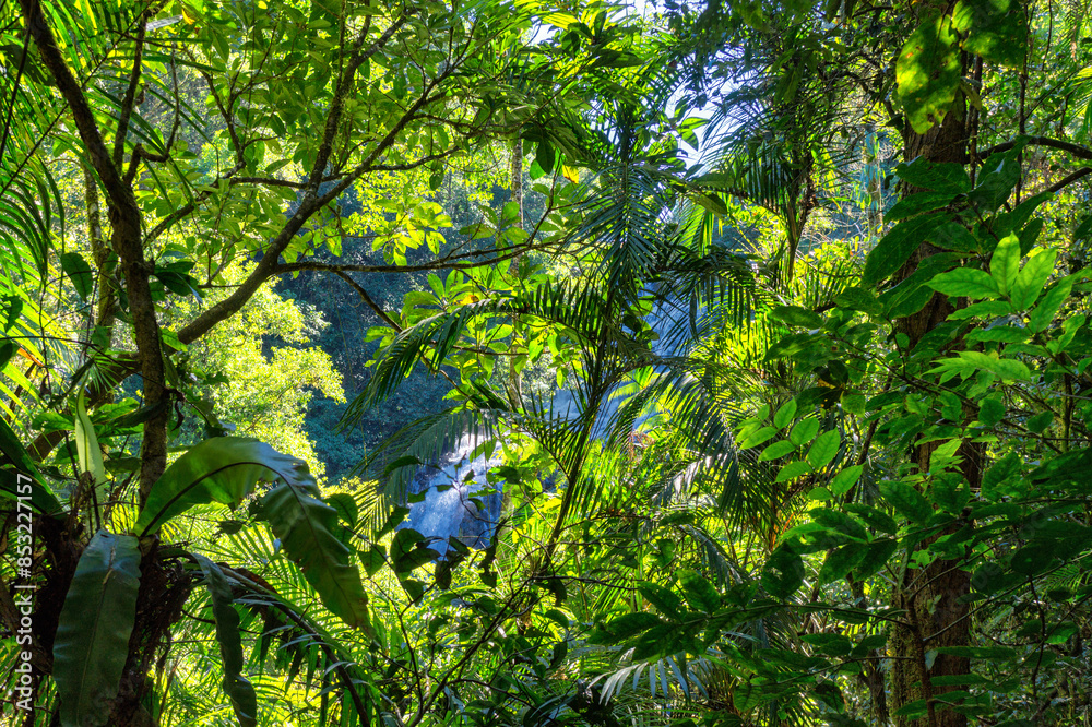 Fototapeta premium Mungalli Falls in the Atherton Tableland, FNQ, Australia. This scenic waterfall is surrounded by lush rainforest and diverse wildlife, offering a serene and picturesque nature experience