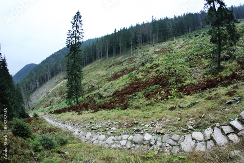 Szlak turystyczny w Polskich Tatrach photo