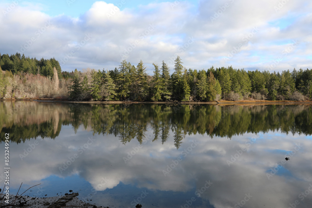 Obraz premium reflection of trees in water