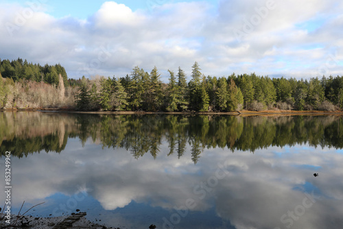 reflection of trees in water