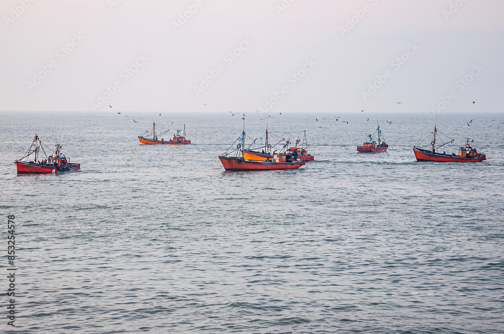 Obraz premium a fleet of small fishing boats fishing off the coast of Mar del Plata