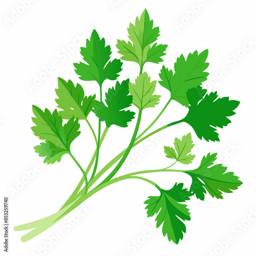 Flat vector image of fresh green parsley leaves, shown whole, on a white background.