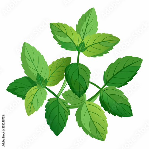 Flat vector image of fresh green mint leaves, shown whole, on a white background.