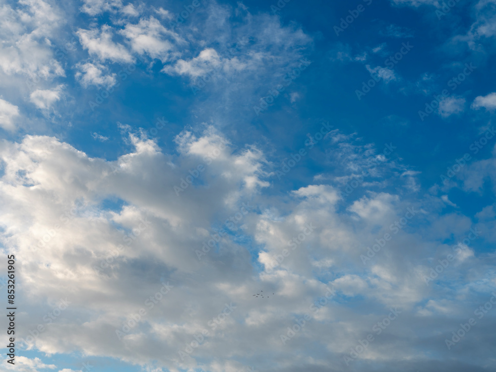 Fototapeta premium 早朝の青空と白い雲