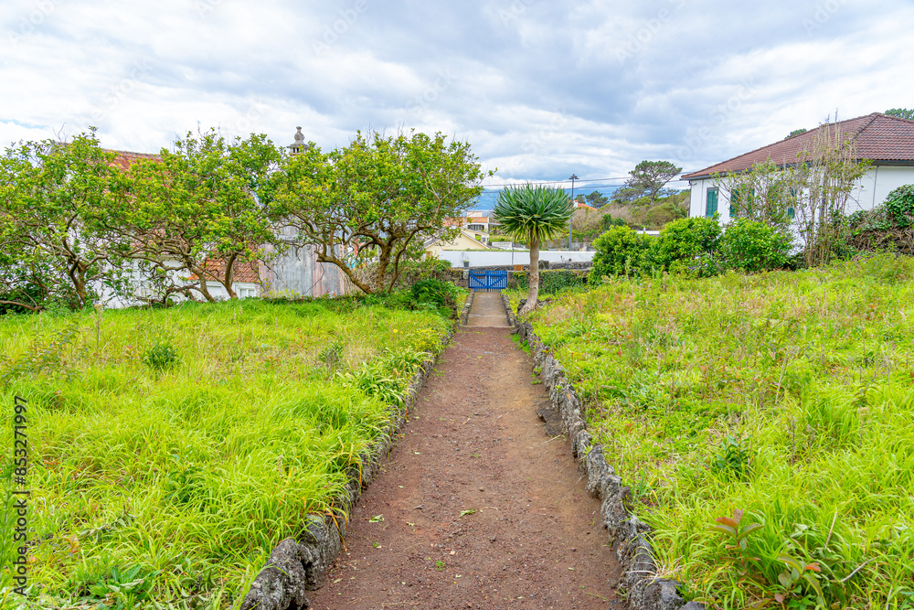 Obraz premium Access path with dragon tree.Old tower of the church of São Mateus, Urzelina mystery and access, volcano erupted in 1808.