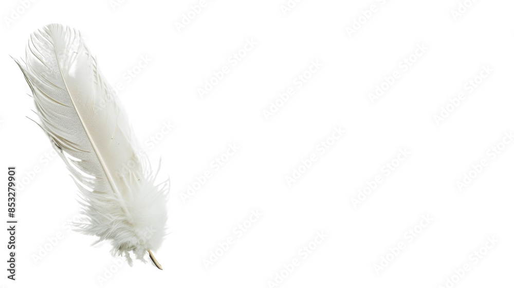 Obraz premium White feather on white background 