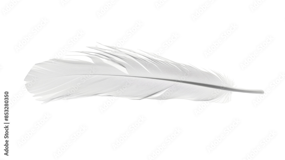 Obraz premium White feather on white background 