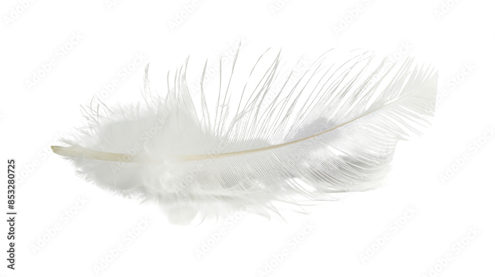 Obraz premium White feather on white background 