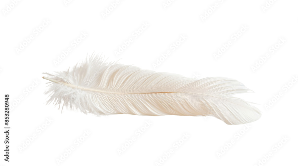 Obraz premium White feather on white background 