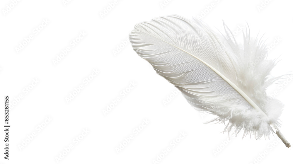 Obraz premium White feather on white background