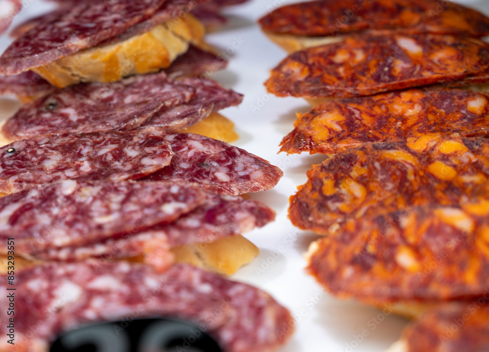 Typical snack of Basque Country, pinchos or pinxtos skewers with small pieces of bread, sea food, eggs, cheese, jamon served in bar in San-Sebastian or Bilbao, Spain, close up Typical snack of Basque Country, pinchos or pinxtos skewers with small pieces of bread, sea food, eggs, cheese, jamon served in bar in San-Sebastian or Bilbao, Spain, close up
