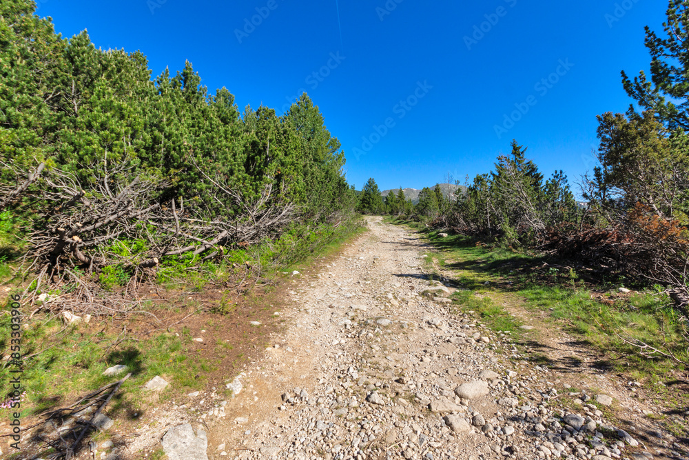 Summer Landscape of Rila mountain near Granchar Lake, Bulgaria Summer Landscape of Rila mountain near Granchar Lake, Bulgaria