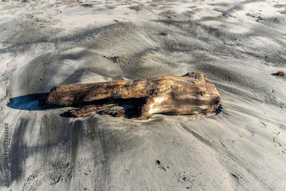 Wood lying on sandy beach. Copyspace image Wood lying on sandy beach. Copyspace image