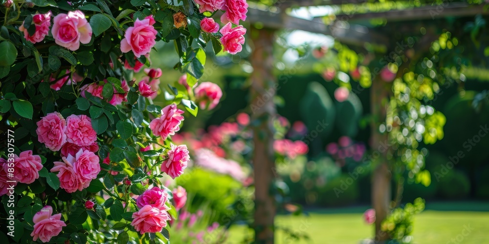 Flowers roses gate arc garden wallpaper background Flowers roses gate arc garden wallpaper background