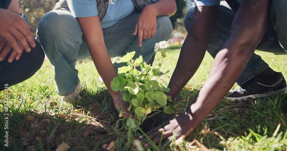 Hands, planting and community project in nature, park and garden for sustainable environment. Teamwork, climate change and working volunteers with flower, growth and green ecology for earth day