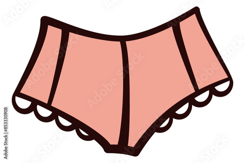 Womens Panties Underwear Vector