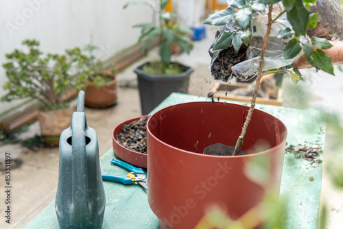 Cover with fertilizer for garden pot photo