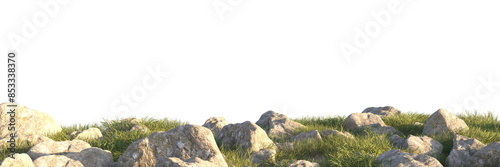 grass field small plant and stones, rocks in grassy field
