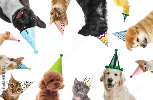 Canvas Print Many different animals with party hats on white background, collage