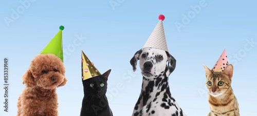 Fototapeta Naklejka Na Ścianę i Meble -  Many different animals with party hats on light blue gradient background, banner design