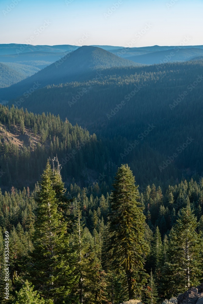 Pine forest and mountains in Lassen Volcanic National Park, California, United States of America. Pine forest and mountains in Lassen Volcanic National Park, California, United States of America.