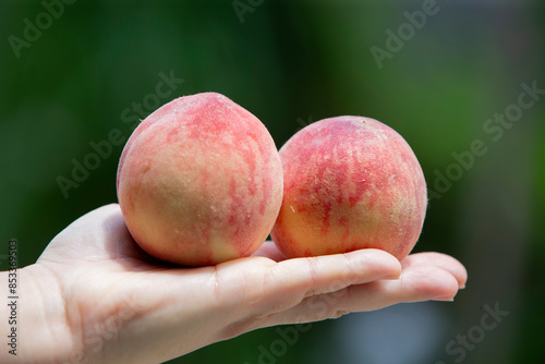 close up peaches in hand